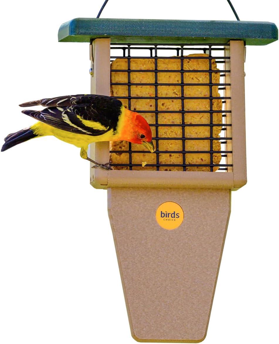 Birds Choice Birds Choice 12" Recycled Single Cake Tail Prop Suet Feeder, Taupe/Green