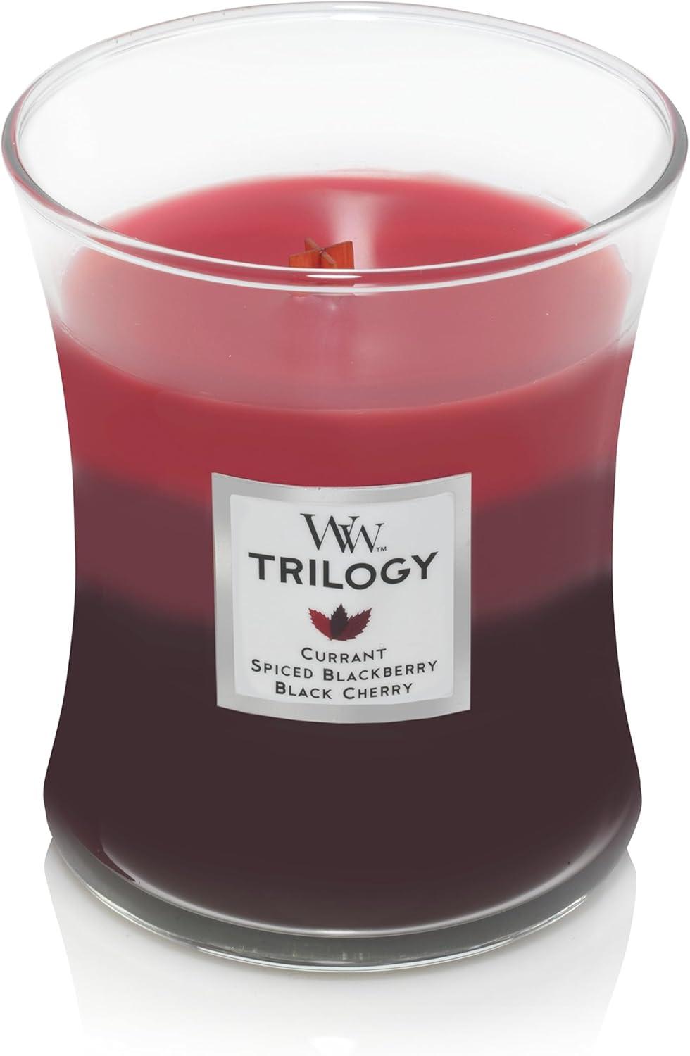 Sun-Ripened Berries Black Scented Jar Candle