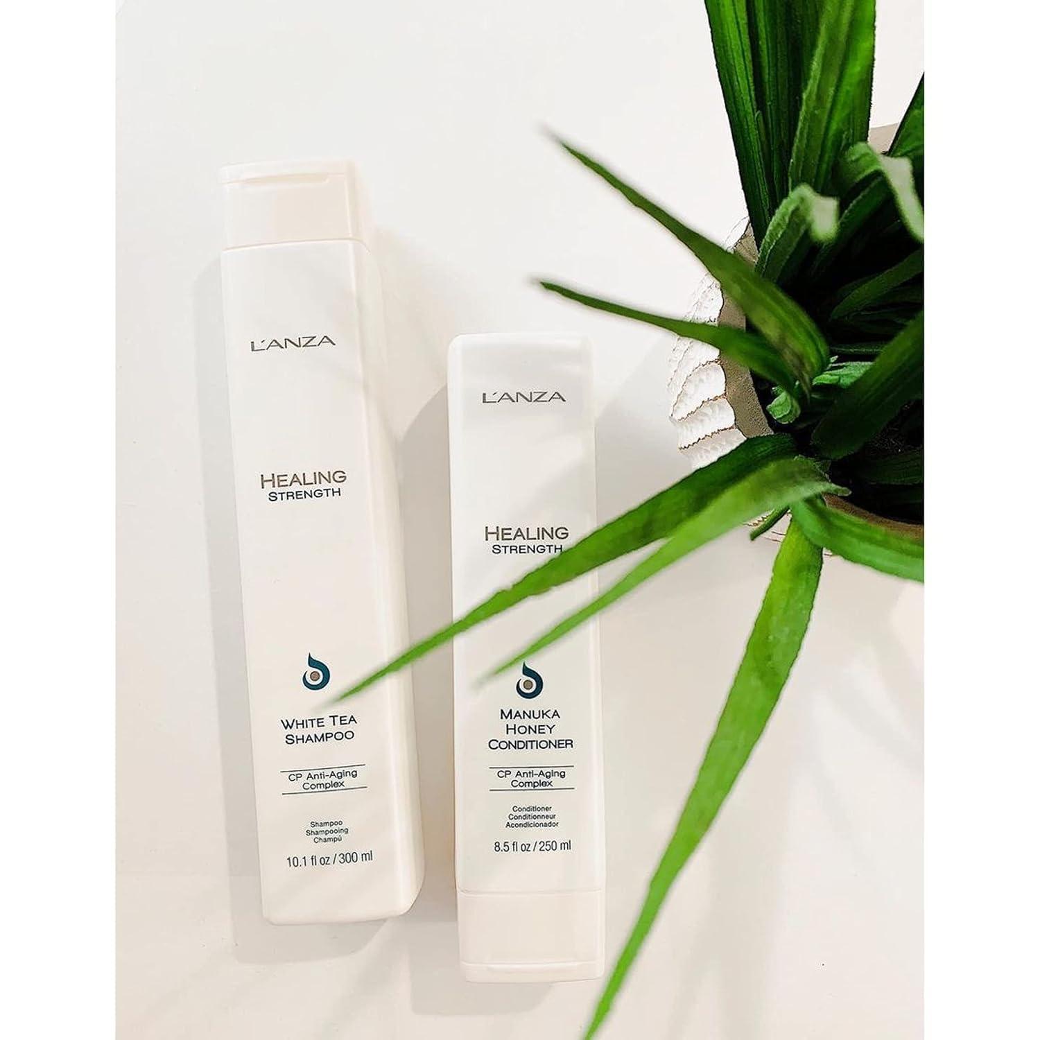 L'ANZA Healing Strength White Tea Shampoo, Shampoo For Dry, Damaged Hair, Boosts Shine, Strengthens, and Restores Weak, Fragile, Aged Hair Against Split Ends & Frizz Control, New Bottle