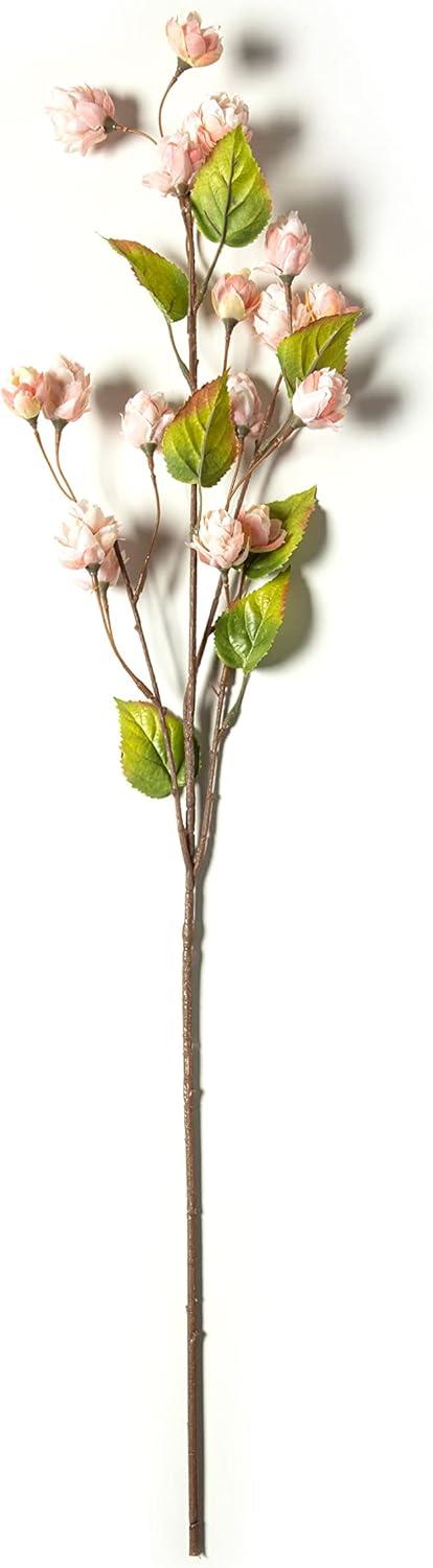 Blush Hops Stem by Ashland®