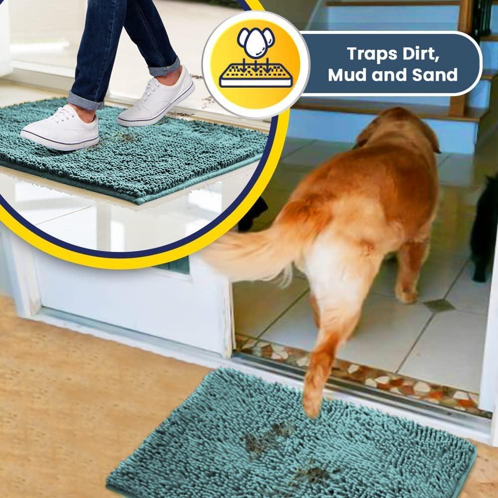 Muddy Mat Highly Absorbent Soft Chenille Door Mat and Pet Rug Non Slip Thick Washable Mat for Indoor and Outdoor-Seafoam Green Medium 19"x30"