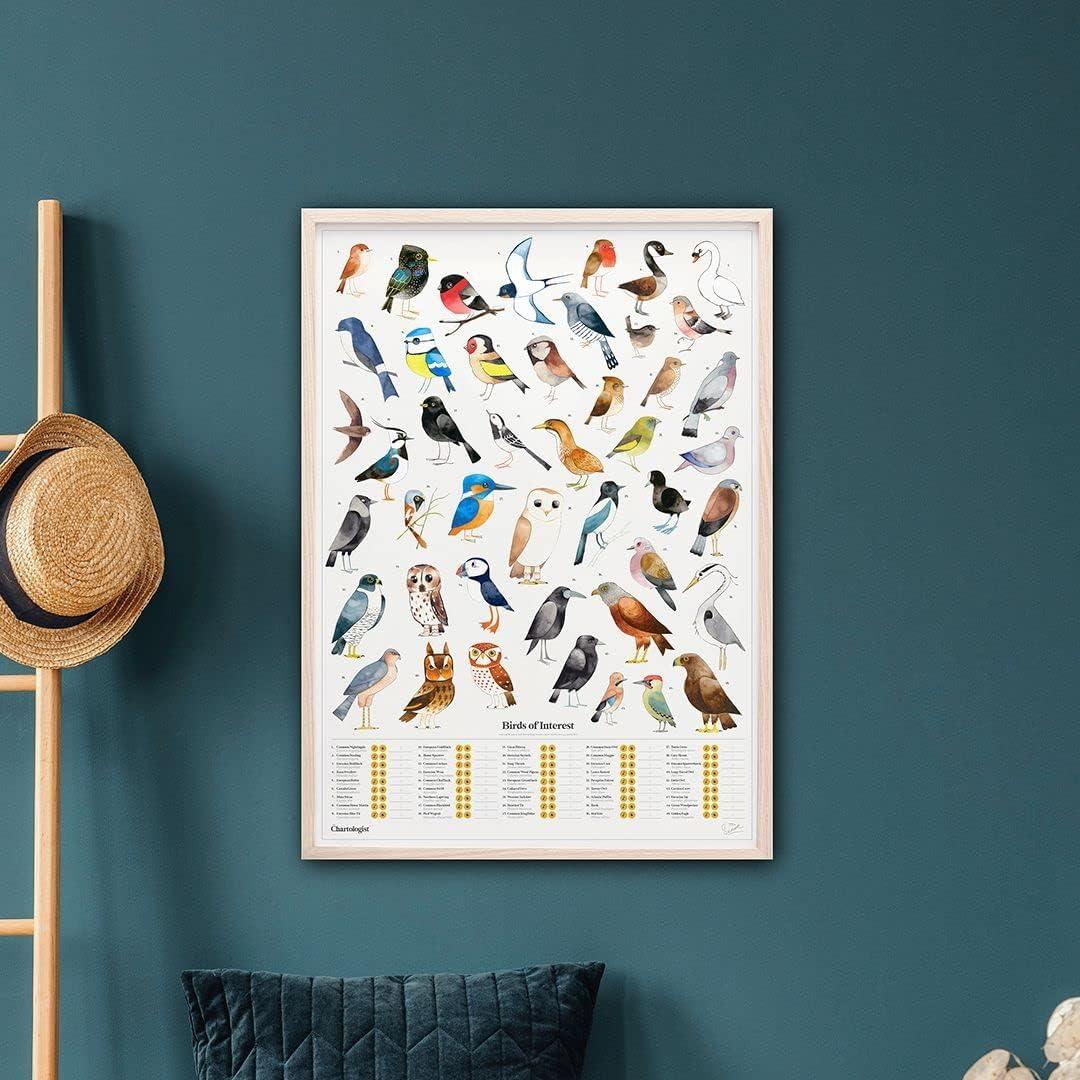 The Chartologist | Illustrated Wall Art | Interactive Bird Posters & Prints | Aesthetic Scratch Poster For Kids & Adults | Nature Poster Wall Art For Living Room | Bird Gifts For Vintage Room Decor