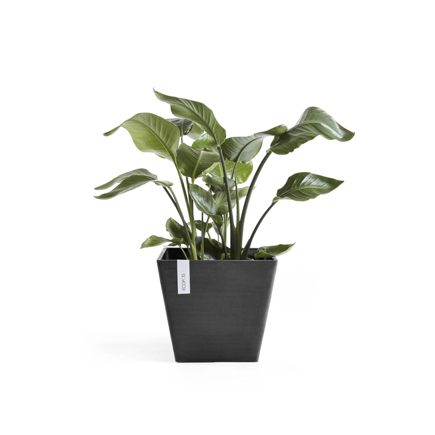 Pot Planter
