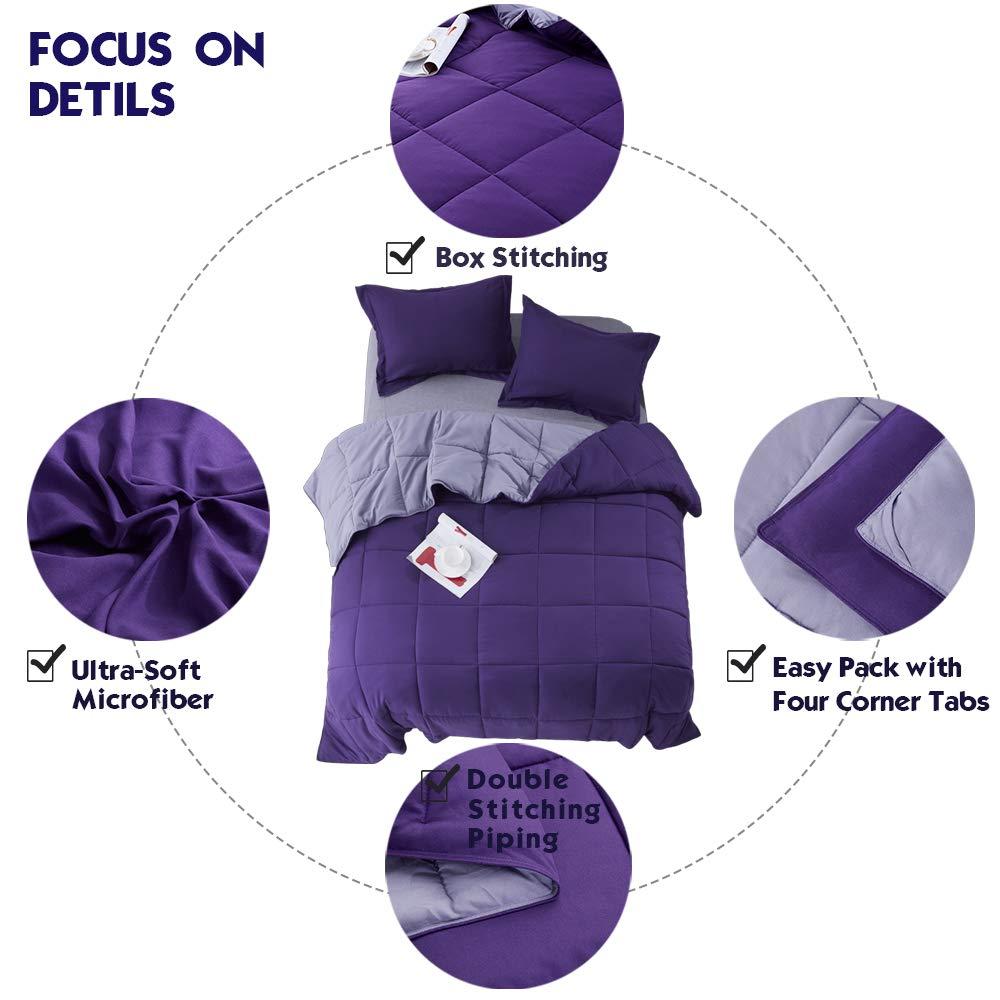 3pc Comforter Set - All Season Reversible Down Alternative Comforter with Two Shams - Quilted Duvet Insert with Corner Tabs - Box Stitched Blanket - Breathable, Soft, Fluffy