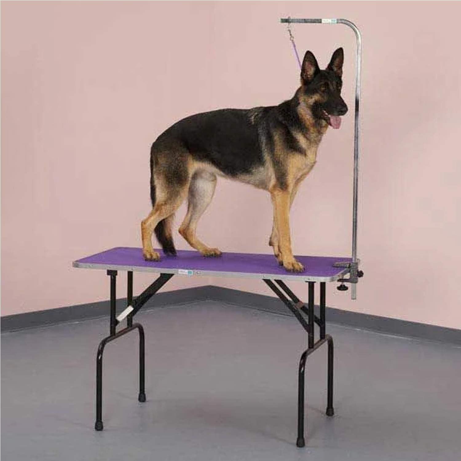 Purple Foldable Pet Grooming Table with Adjustable Leash Arm