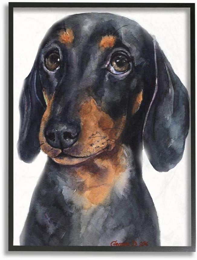 Stupell Industries Dachshund Puppy Dog Pet Animal Watercolor Painting Framed Giclee Texturized Art by George Dyachenko