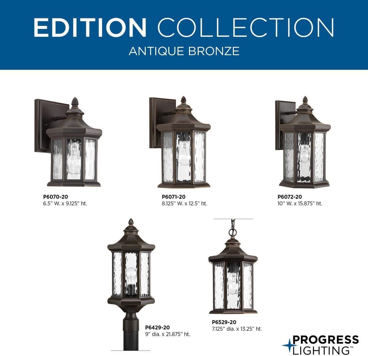 Progress Lighting, Edition, 1-Light Hanging Lantern, Antique Bronze, Clear Water Glass, Die-Cast Aluminum, Damp Rated