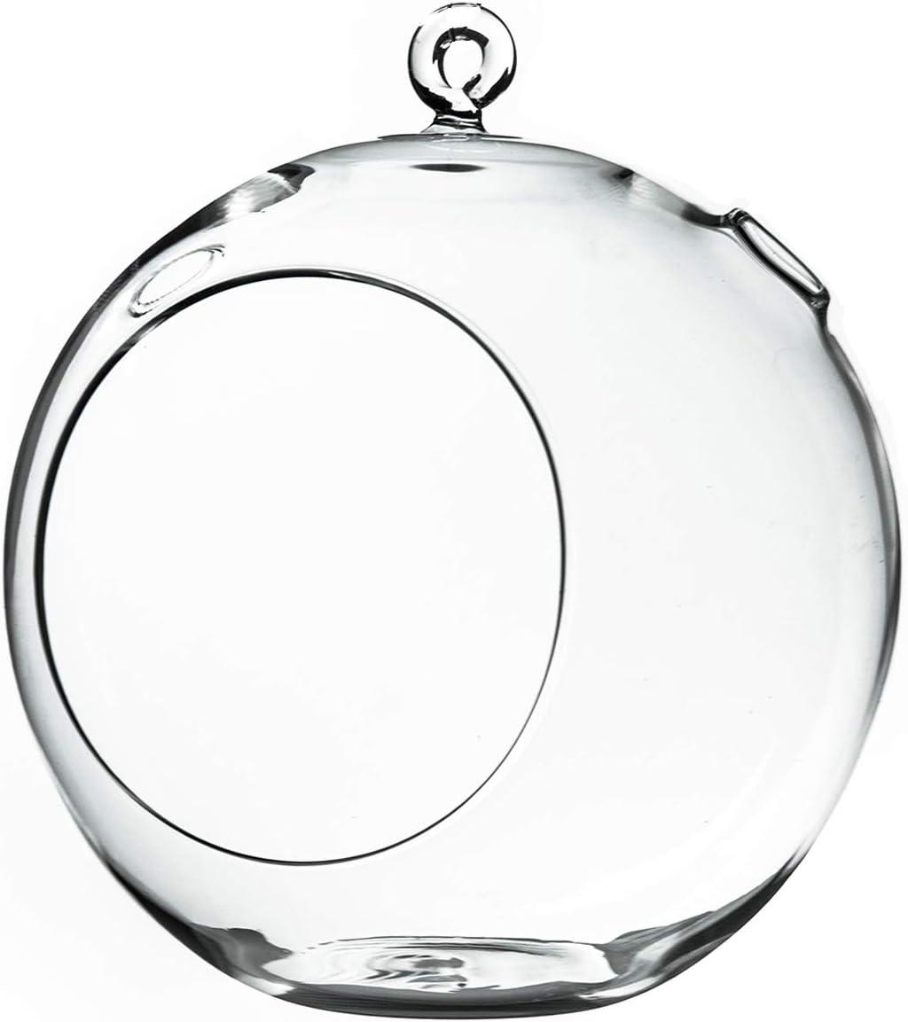 Clear Glass Round Terrarium Globe with Flat Bottom for Outdoor Decor