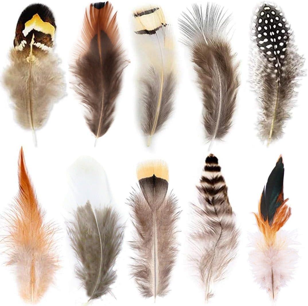 180pcs 6 Style Natural Feathers Assorted Mixed Feathers for Dream Catcher Crafts Decoration (6 Styles/180 Pcs)