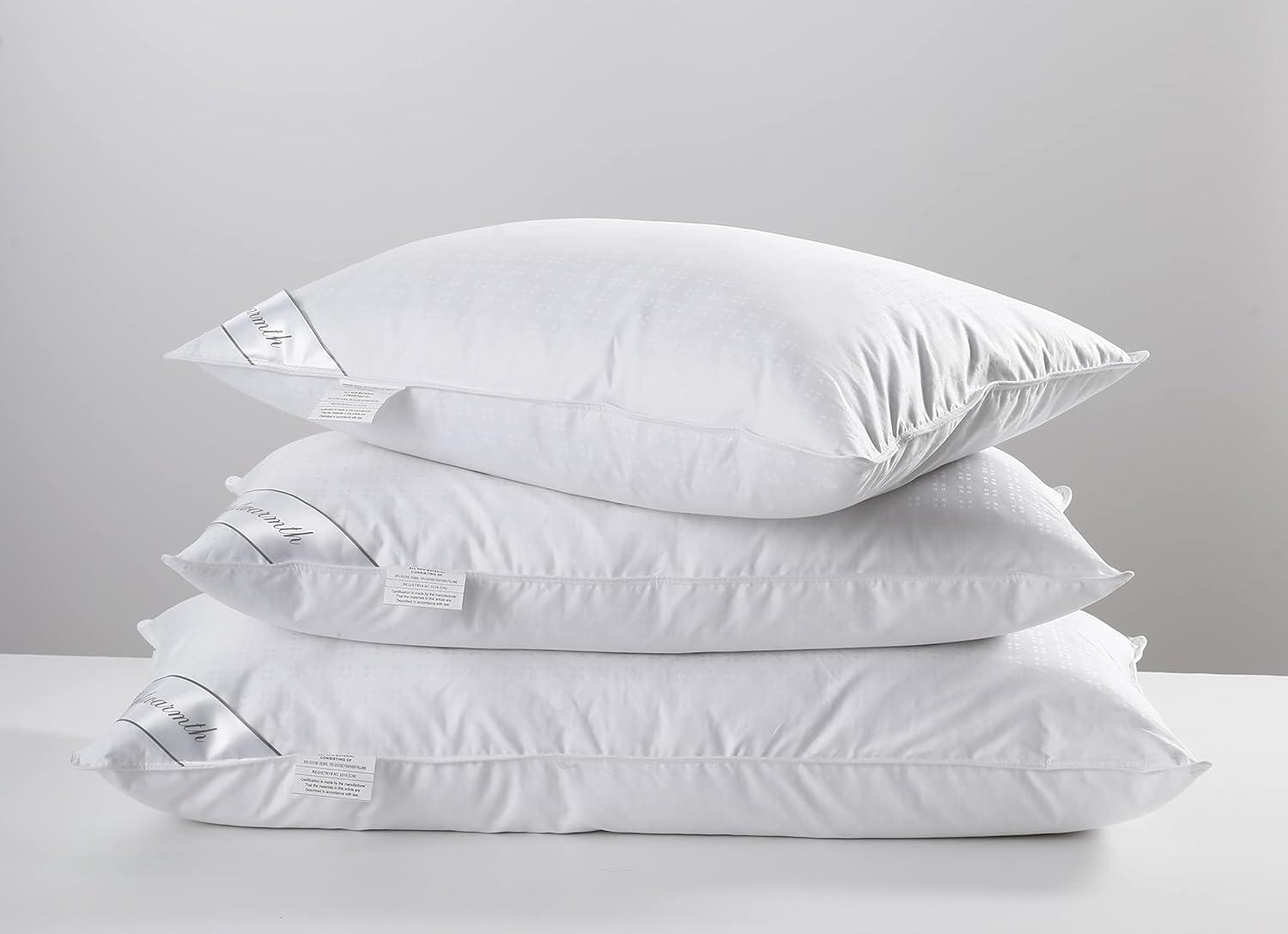 Natural Goose Down&Feather Pair Pillows Insert, Set of 2 Bedding Soft Pillows 100% Soft Cotton Queen 20x30in