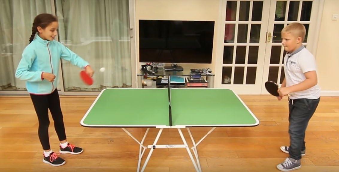 Butterfly Butterfly Family Mini Foldable Indoor Table Tennis Table