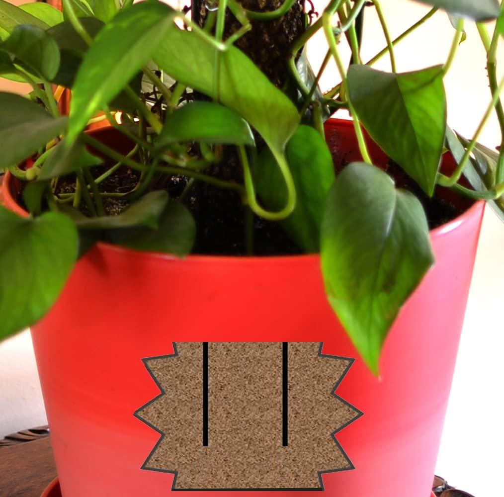 Mosser Lee Sphagnum Moss Pole for Indoor Plants, Monstera Moss Pole, Plant Pole Made in USA - Ideal for Climbing Plants, Enhances Plant Growth & Stability - 30" Height