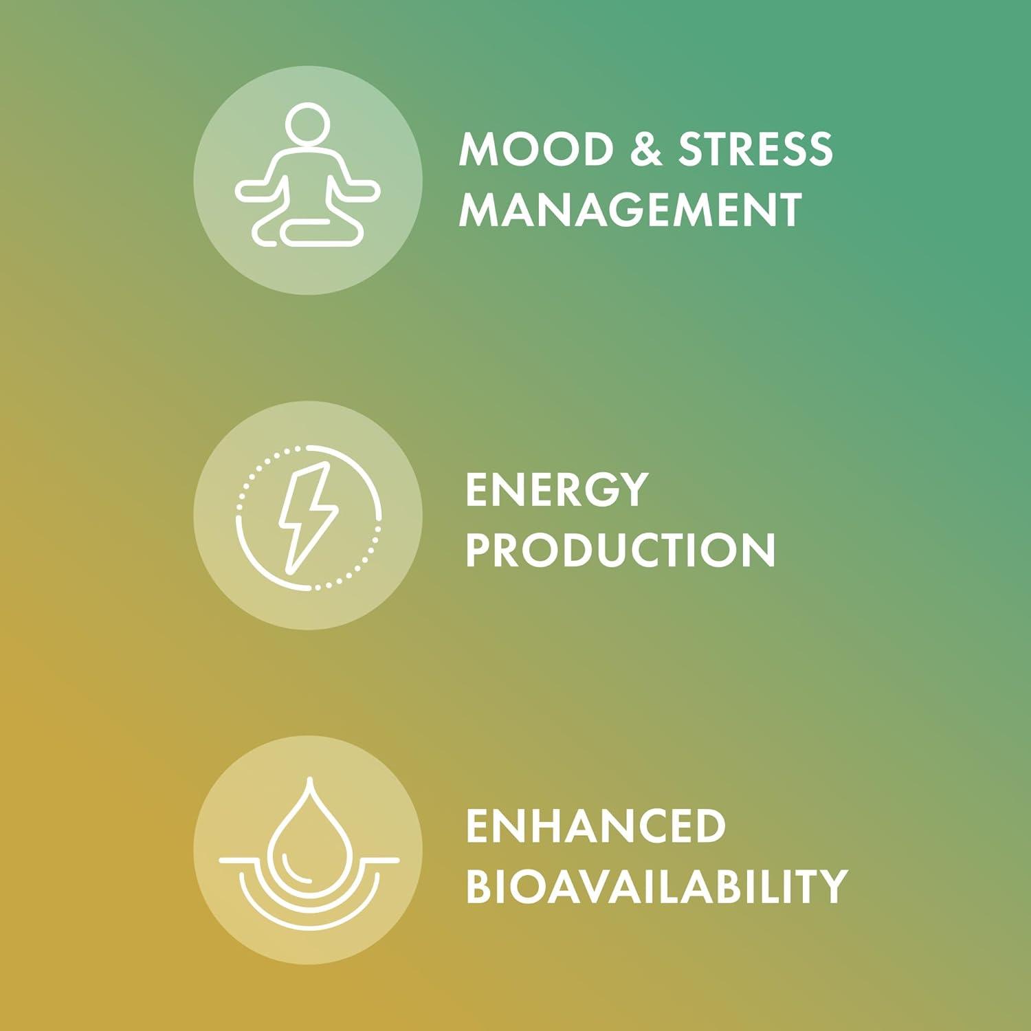 Dr. Mercola Vitamin B Complex, 90 Servings (180 Capsules), with Benfotiamine, Dietary Supplement, Supports Energy Production, Non-GMO