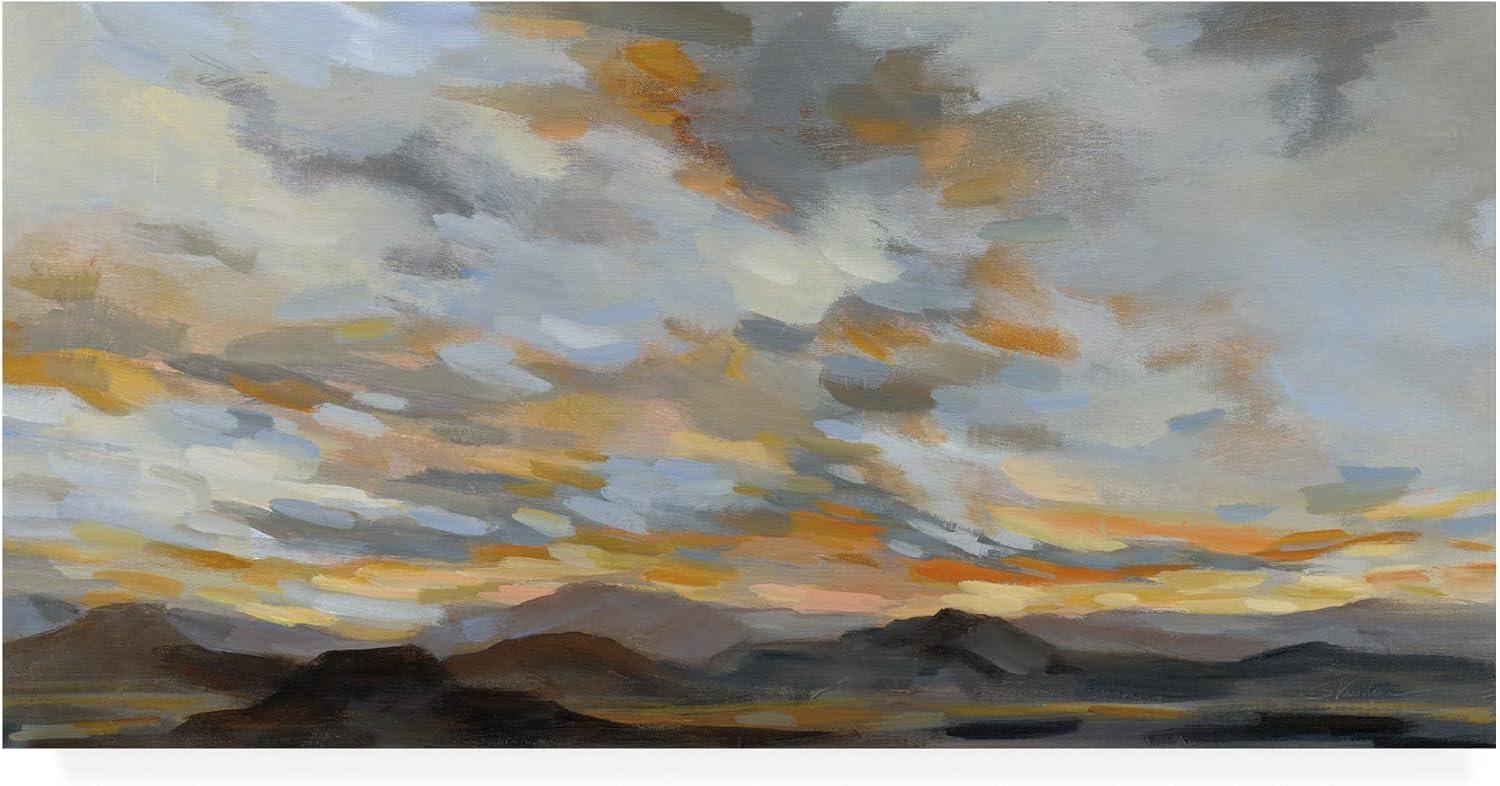 Trademark Fine Art 'High Desert Sky I' Canvas Art by Silvia Vassileva