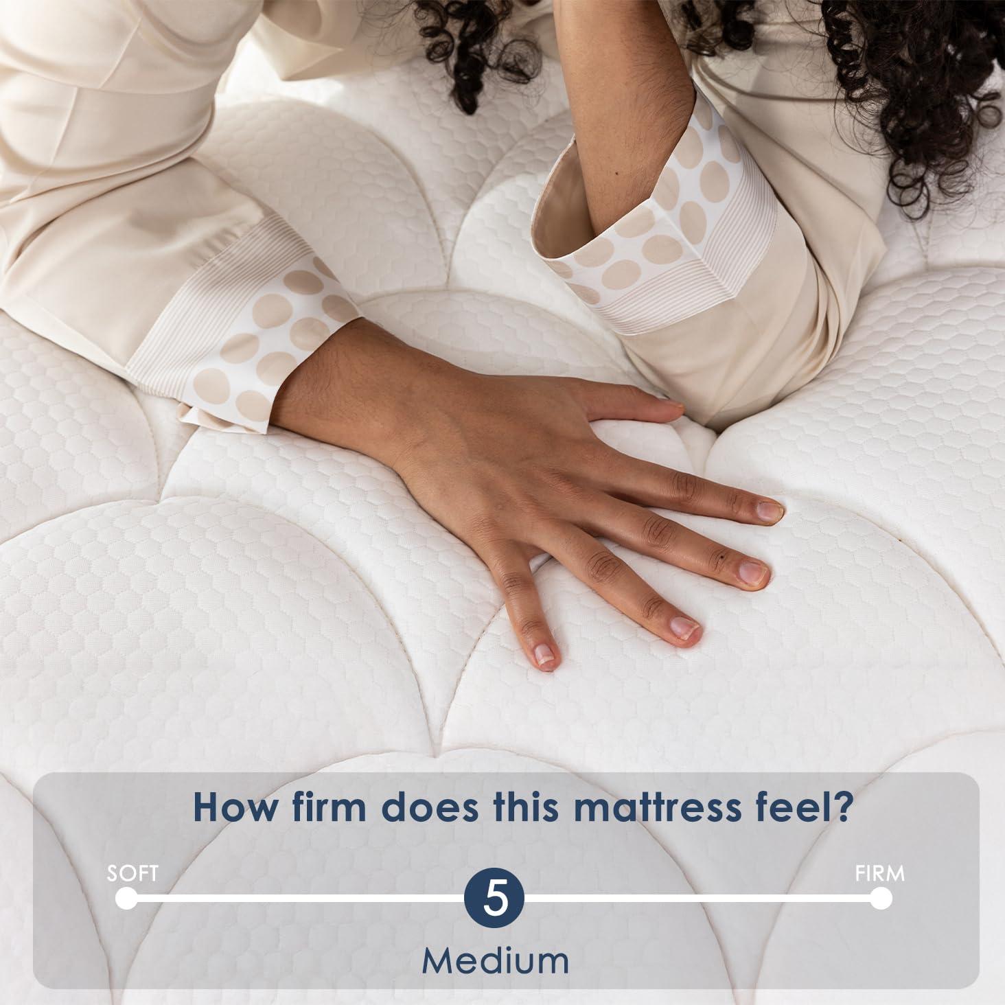 Alwyn Home 12'' Medium Gel Memory Foam Hybrid Mattress in a Box, OEKO-TEX® Certified