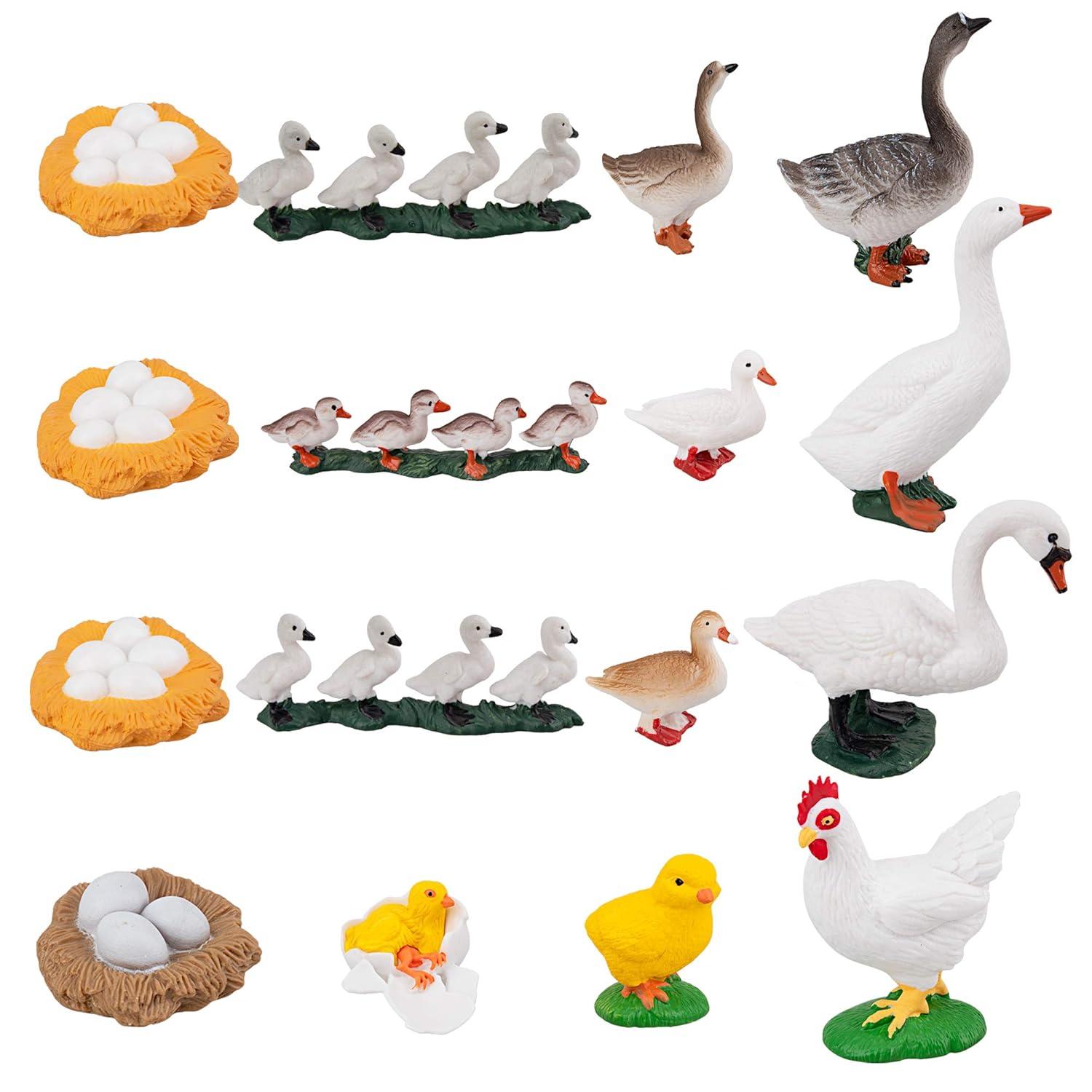 Toymany 16PCS Life Cycle of Goose White Swan Chicken Duck Farm Animals Figures, Plastic Safariology Growth Cycle Eggs Figurines Toy Kit School Project Cake Topper for Kids Toddlers