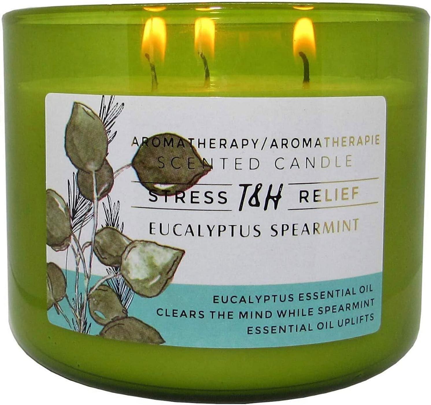 T&H Wholesalers Eucalyptus Spearmint Scented Soy Candle 3 Wick Aromatherapy Candle for Women and Men