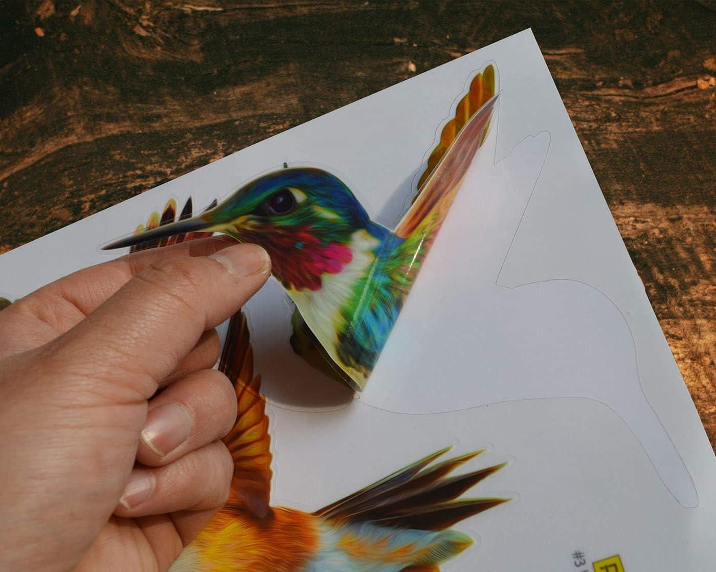 Petallo Anticolisión Window Se Pega, Calcomanías de Colibrí de Alerta Bird Resistente a Rayos UV, Rojo, 12 Piezas