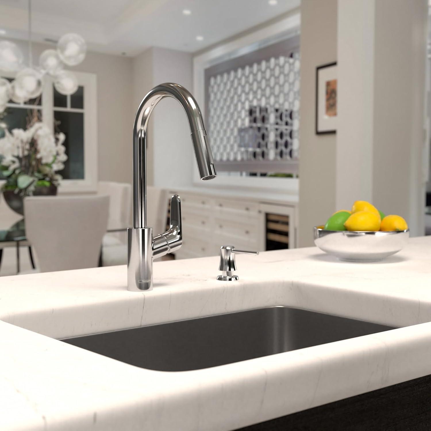 Focus Single Handle Kitchen Faucet