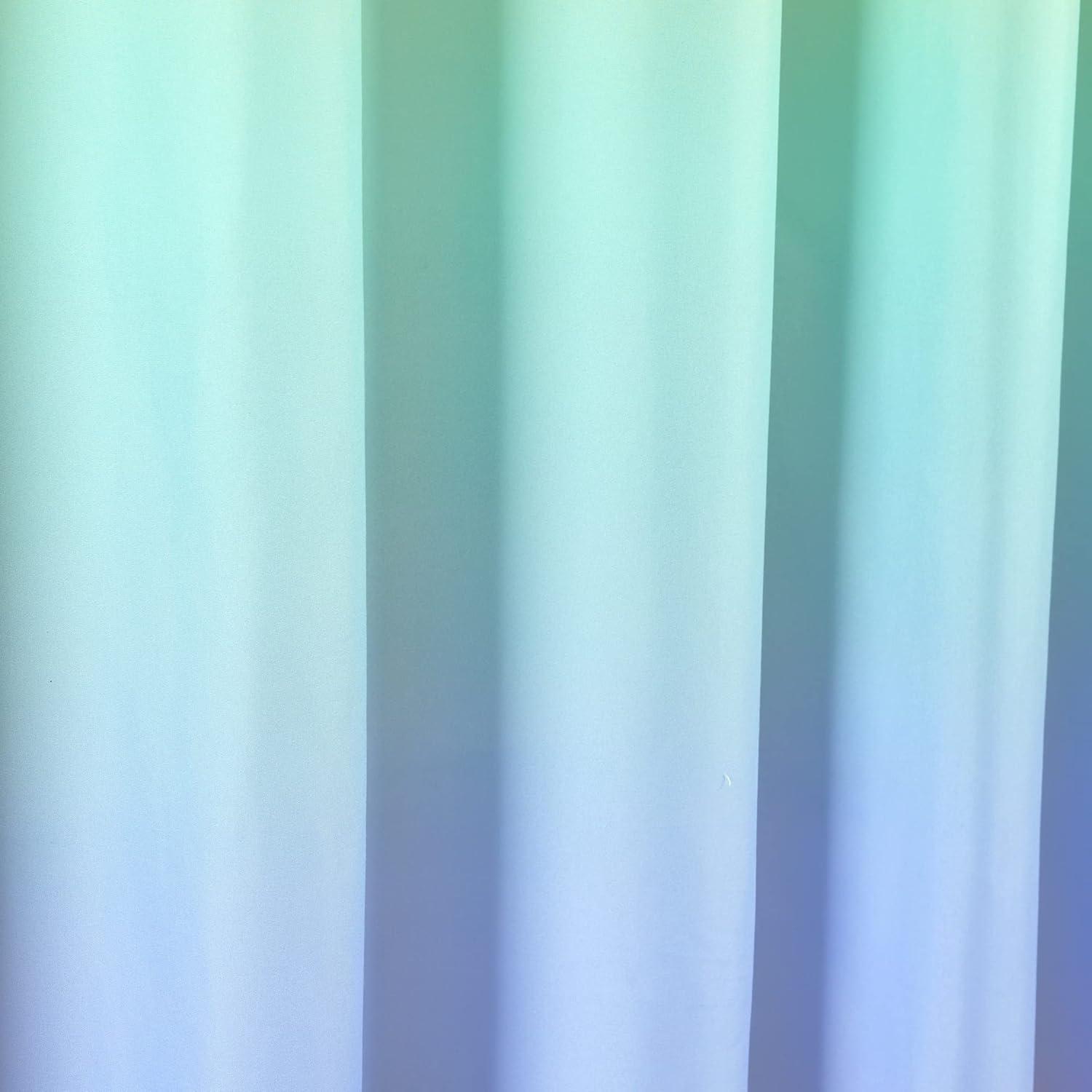 Lush Decor Ombre Shower Curtain