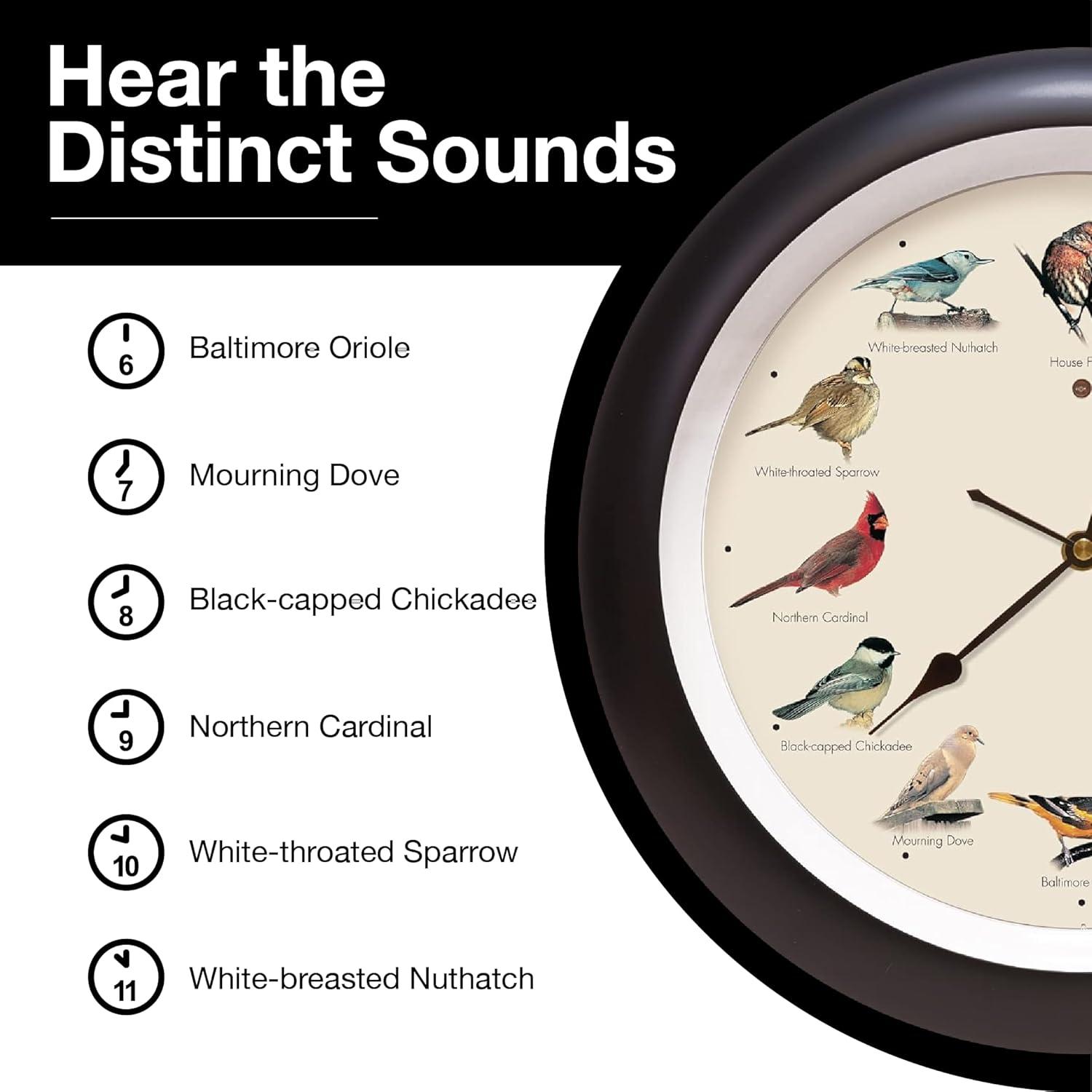 Mark Feldstein, The Original Singing Bird Wall Clock, 13 Inch, Black