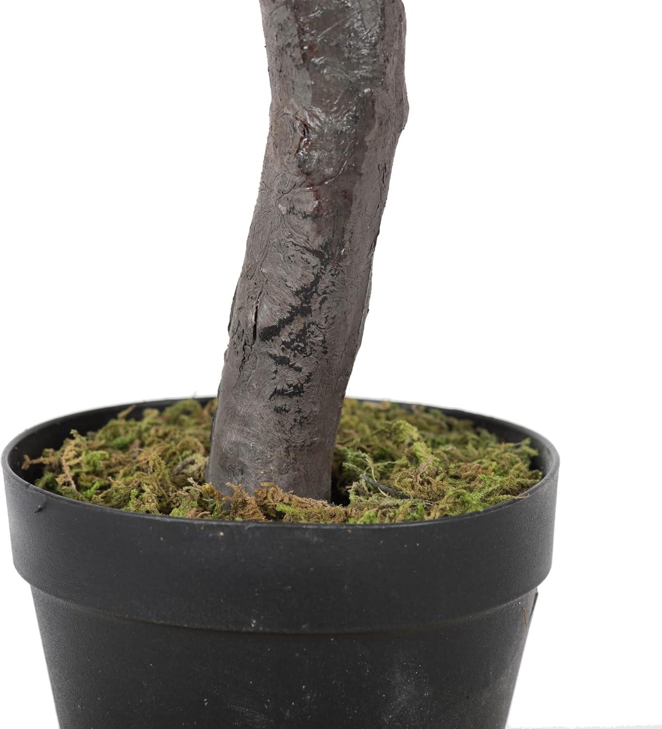 50 in. Green Olive Tree in Pot