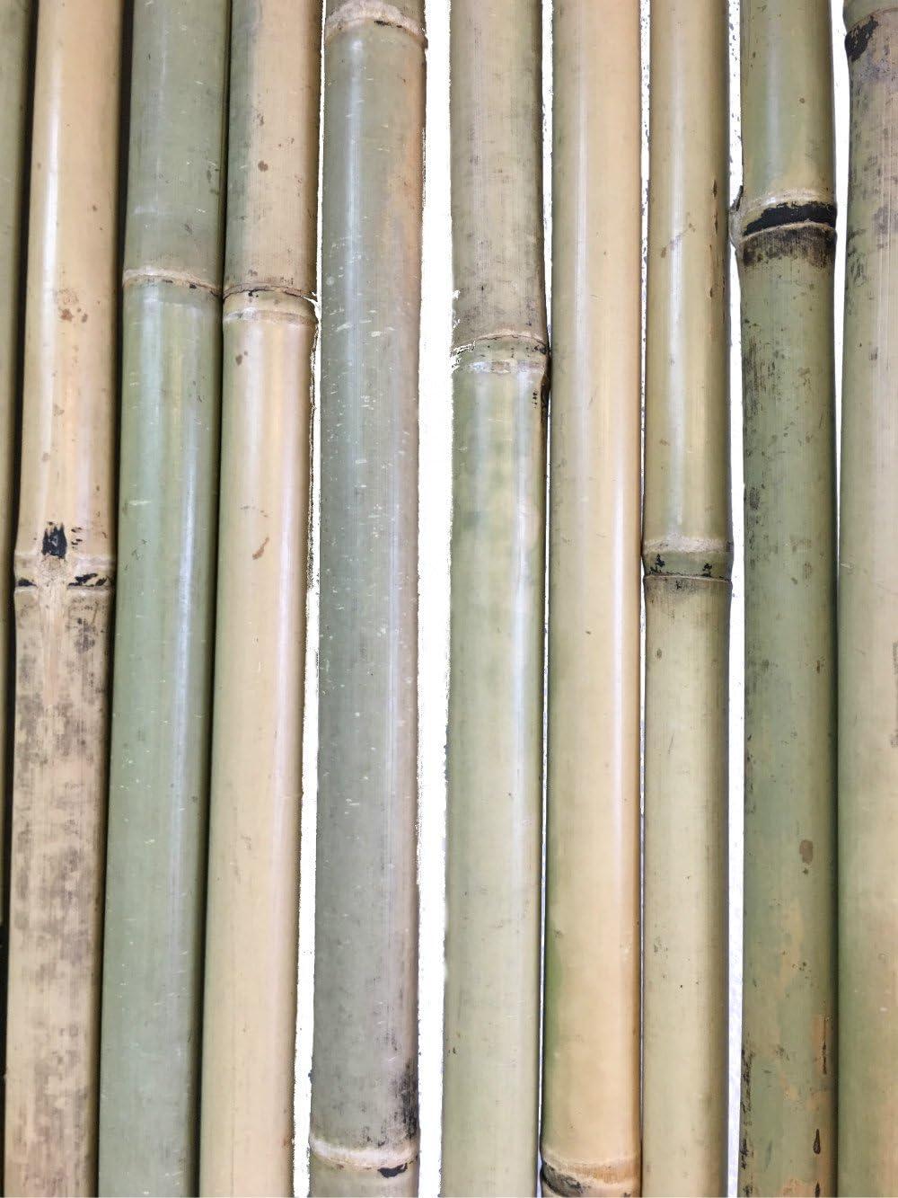 MGP Bamboo Border Fencing