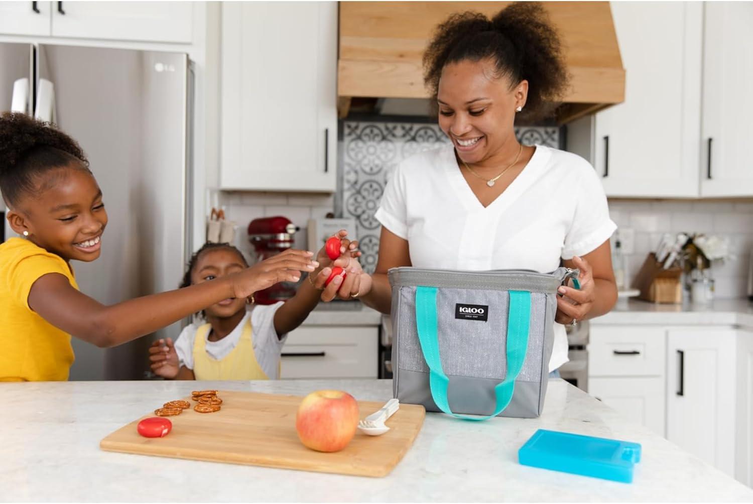 Igloo 25199 Maxcold Ice Block, Medium - Quantity 12