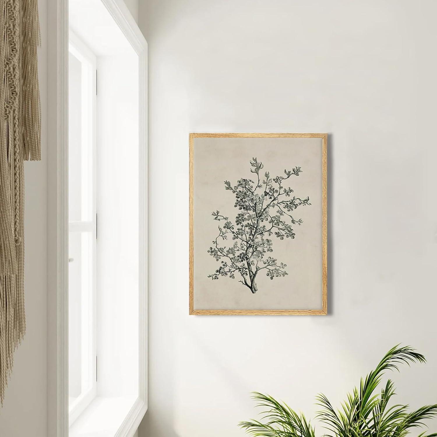 Vintage Botanical Wall Art Prints - Black and White Sketch Art Decor - Antique Pictures and Rustic Paintings for Living Room Bedroom - 12"x16" Unframed