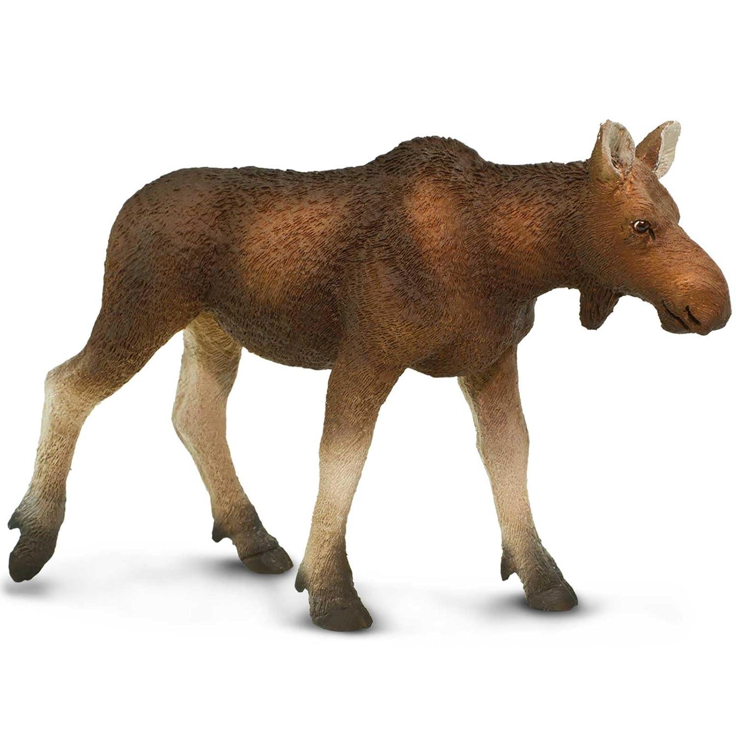 Safari Ltd. Cow Moose Figurine - Lifelike 4.5" Model Figure - Educational Toy for Boys, Girls, and Kids Ages 1+
