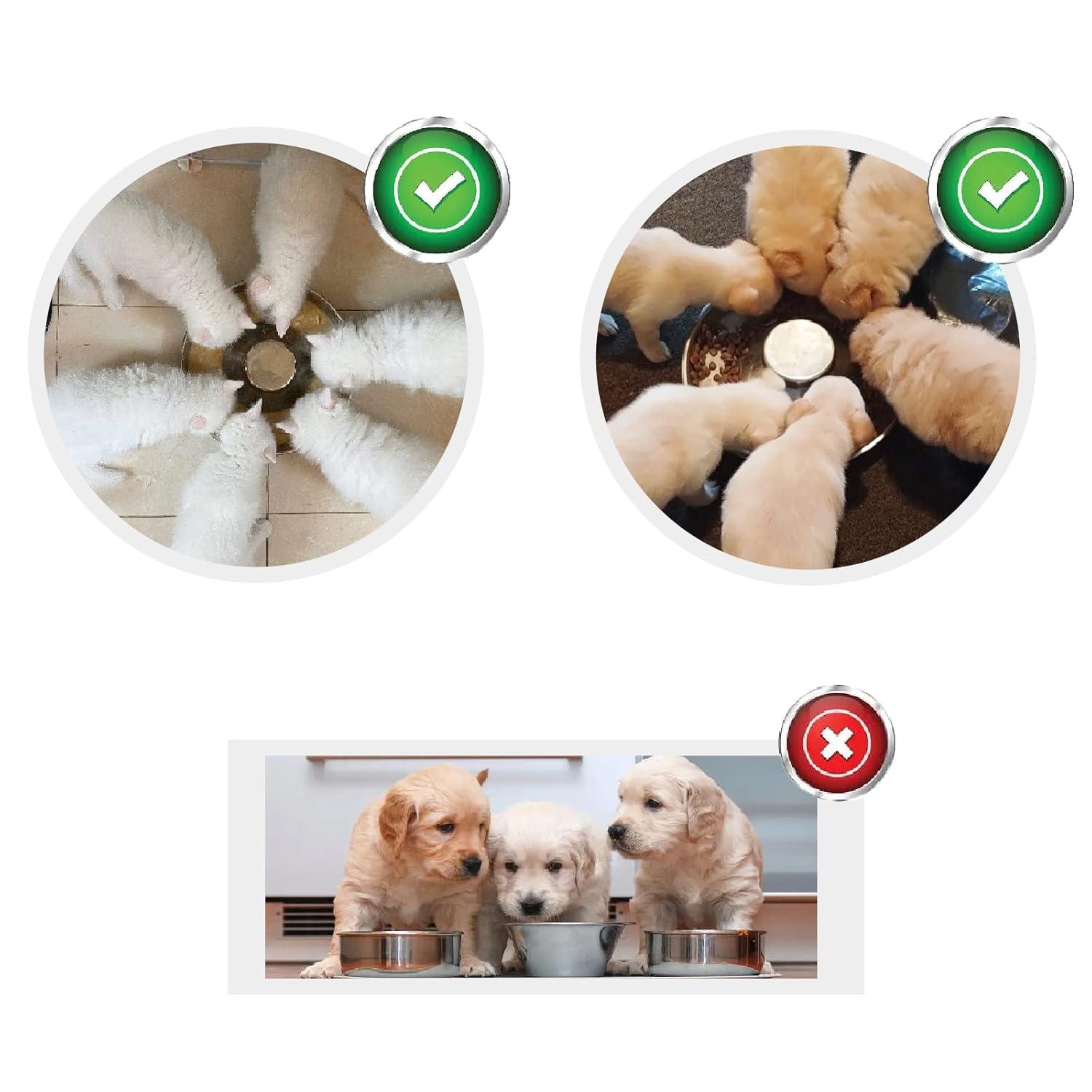 Puppy Dog Bowl, Stainless Steel Multiple Puppies Feeder, Dogs Basic Food and Water Bowls Weaning Dish for Small, Medium and Large Dogs Pets