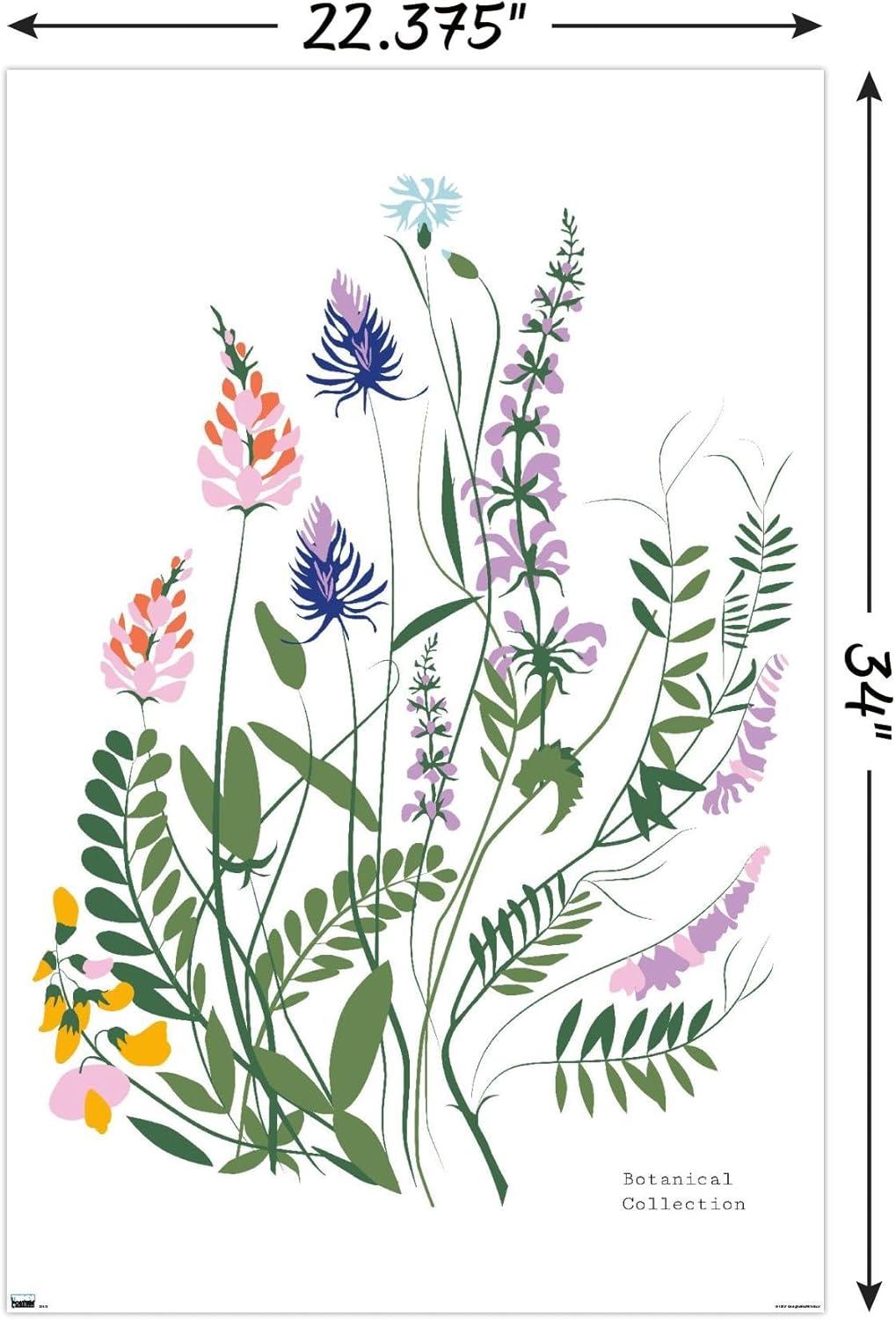 Botanical Collection - Wild Flowers Wall Poster, 22.375" x 34"