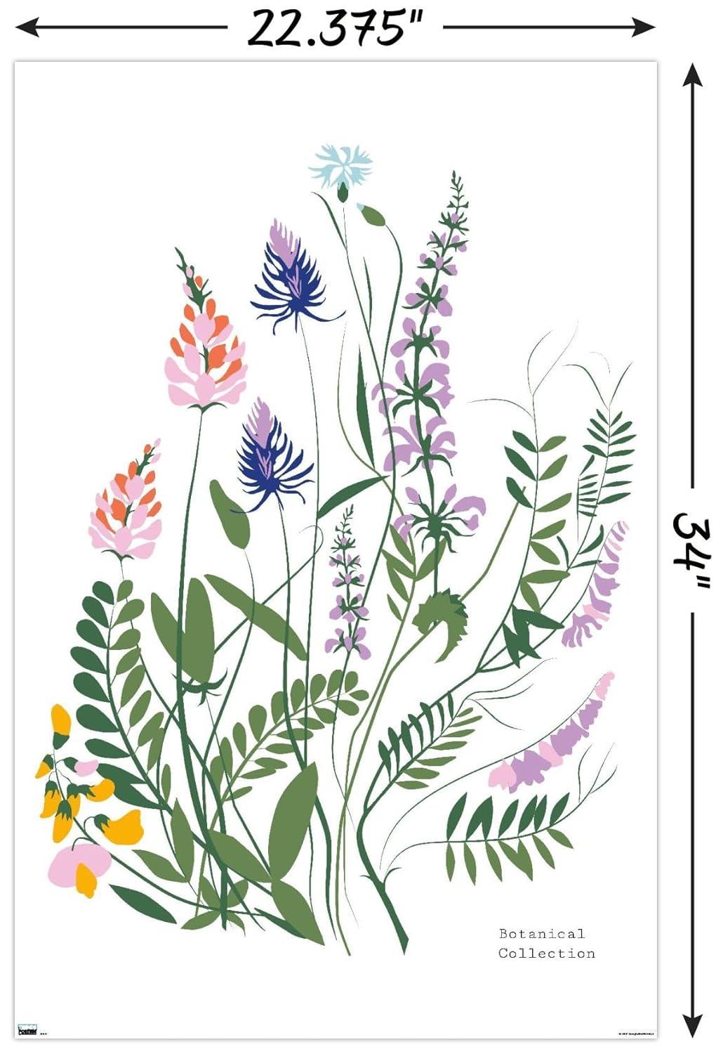 Botanical Collection - Wild Flowers Wall Poster, 22.375" x 34"