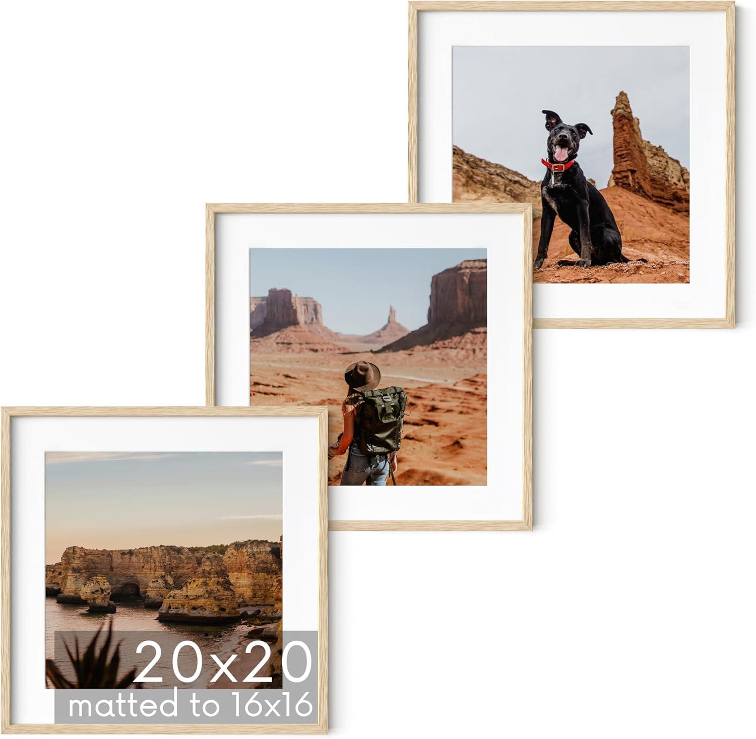 Haus and Hues Set of 3 Picture Frame with Plexiglass Cover, Natural Oak, 20x20