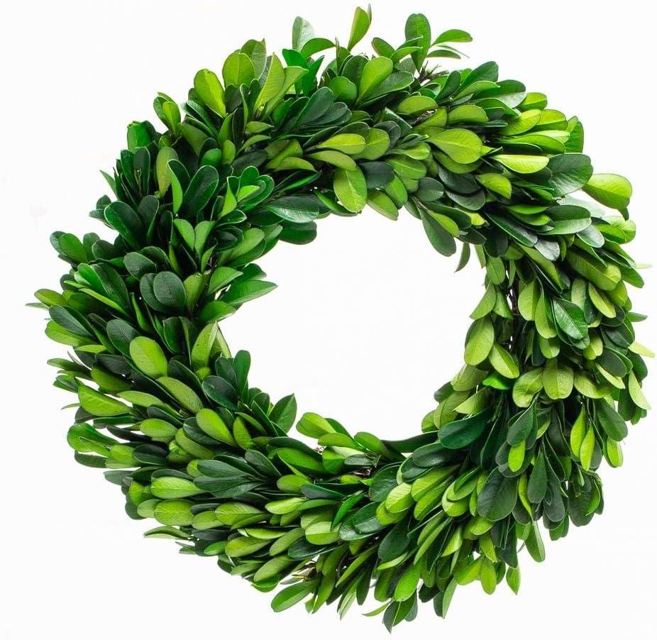 Boxwood Wreath 10 inch Preserved Nature Boxwood Wreath Home Decor Stay Fresh for Years Thanksgiving, Christmas Rustic Farmhouse Holiday Home Decor, Green