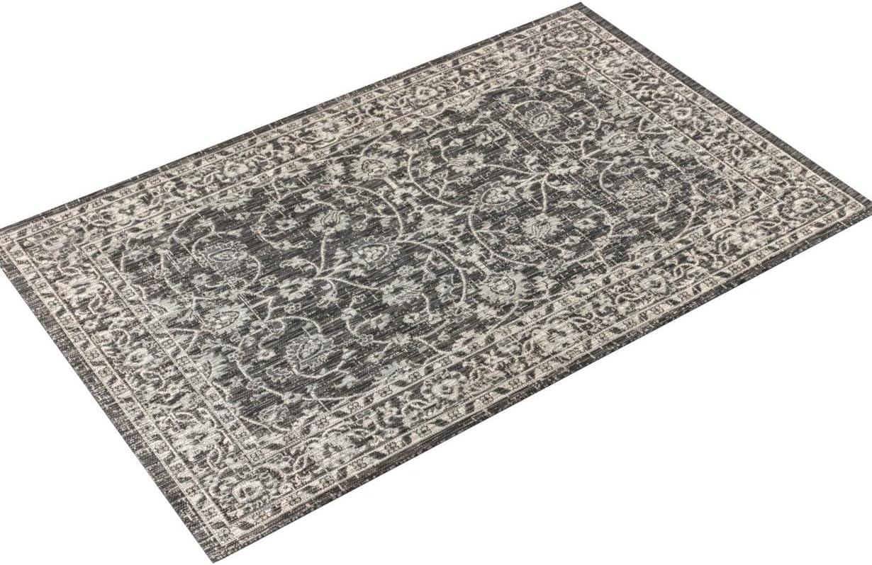 4'x6' Palazzo Vine and Border Textured Weave Indoor/Outdoor Area Rug, Black/Gray - JONATHAN Y