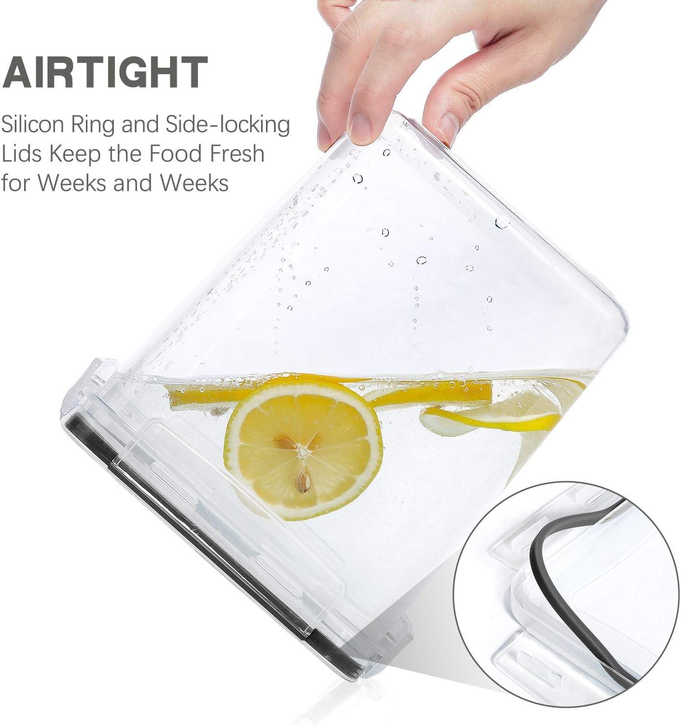 Medium Food Storage Containers  2.5L /84.5Oz