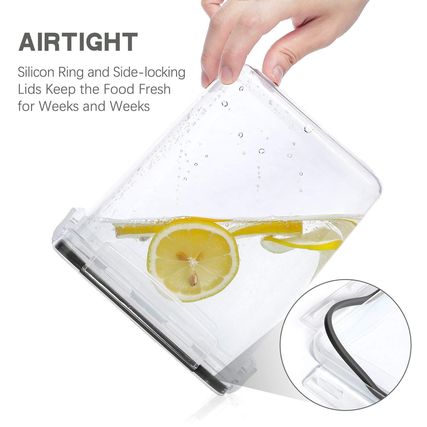 Medium Food Storage Containers  2.5L /84.5Oz