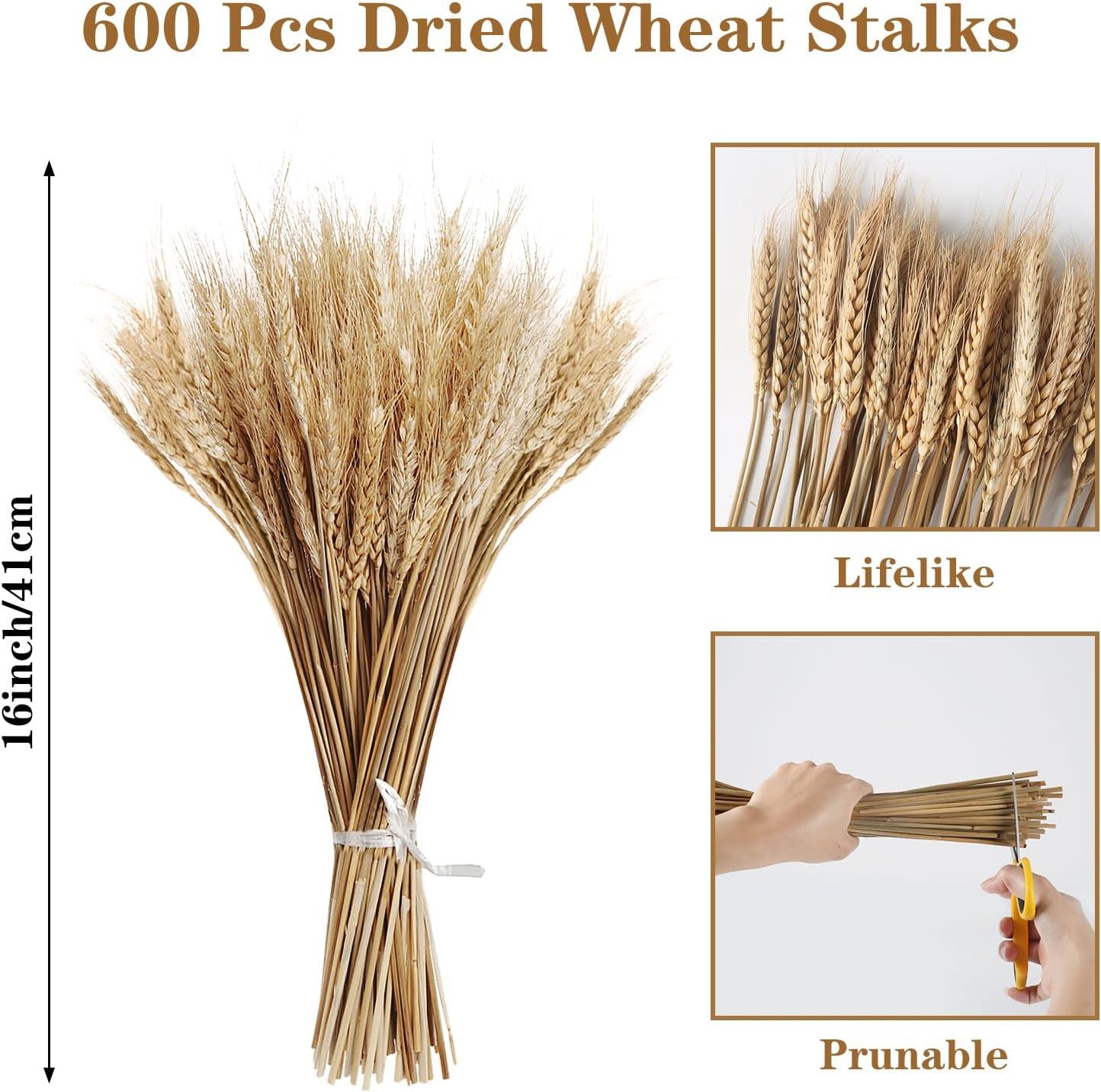 Ophelia & Co. 500PCS Dried Flowers Dried Wheat Stalks for Decor for Home DIY Design Table Centerpieces | Wayfair