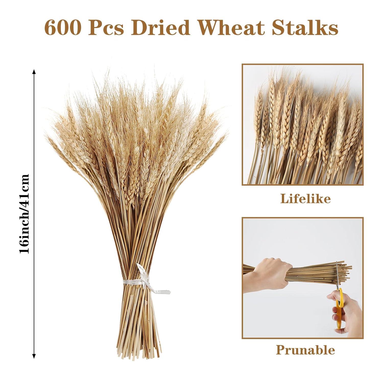 Ophelia & Co. 500PCS Dried Flowers Dried Wheat Stalks for Decor for Home DIY Design Table Centerpieces | Wayfair