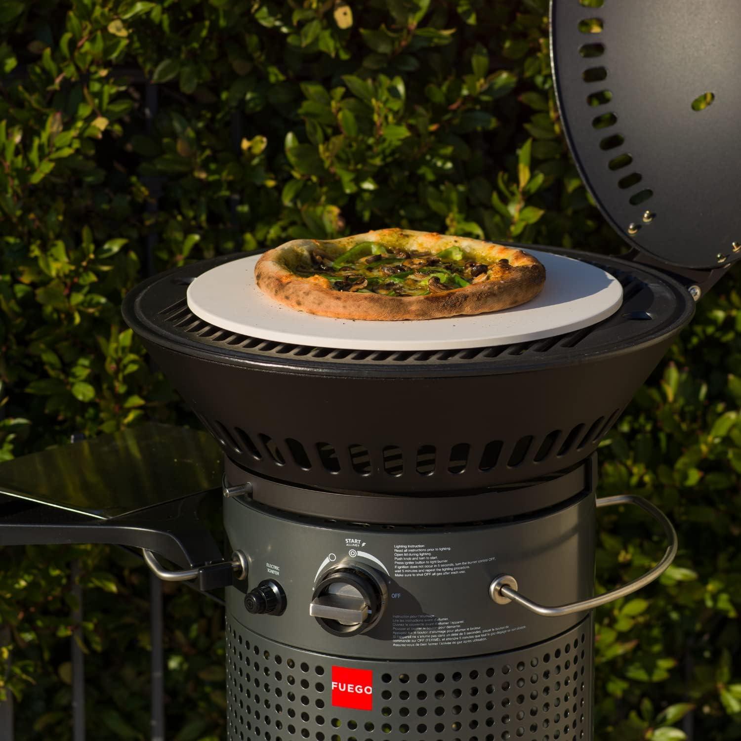 Fuego Living 2 - Burner Countertop Liquid Propane Gas Grill