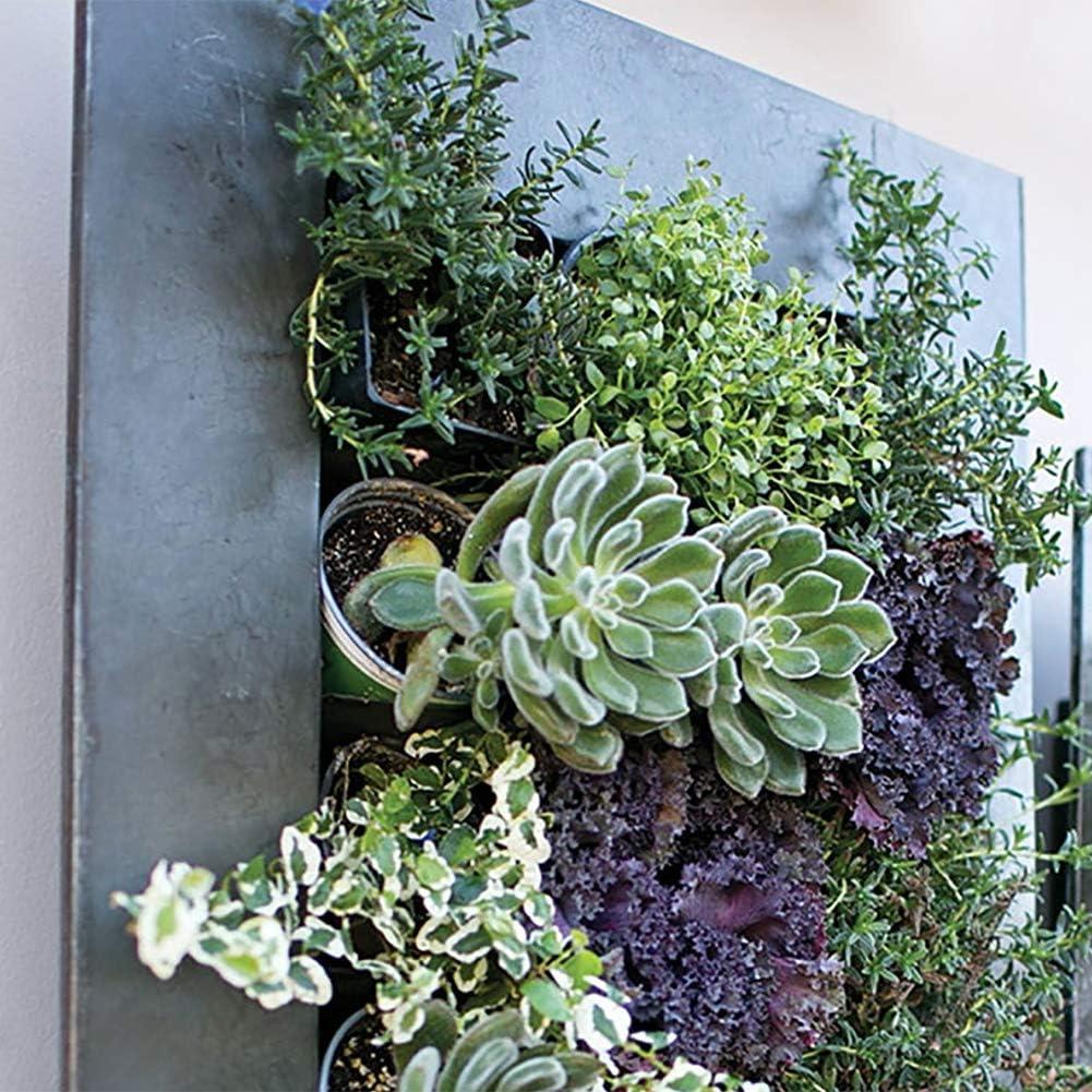 Modern Home Living Wall Galvanized Steel/Zinc Succulent Planter (Rust Zinc, 18 Pocket)