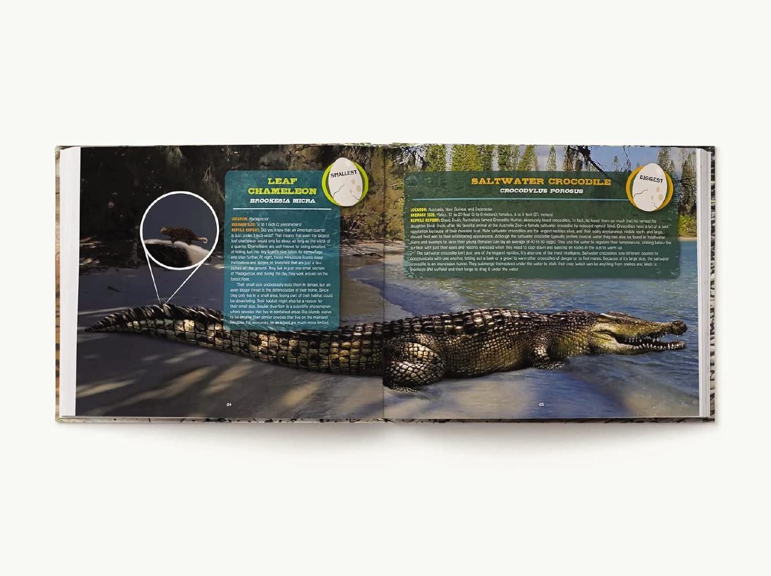 Discovering Reptiles - by  Thomas Nelson (Hardcover)