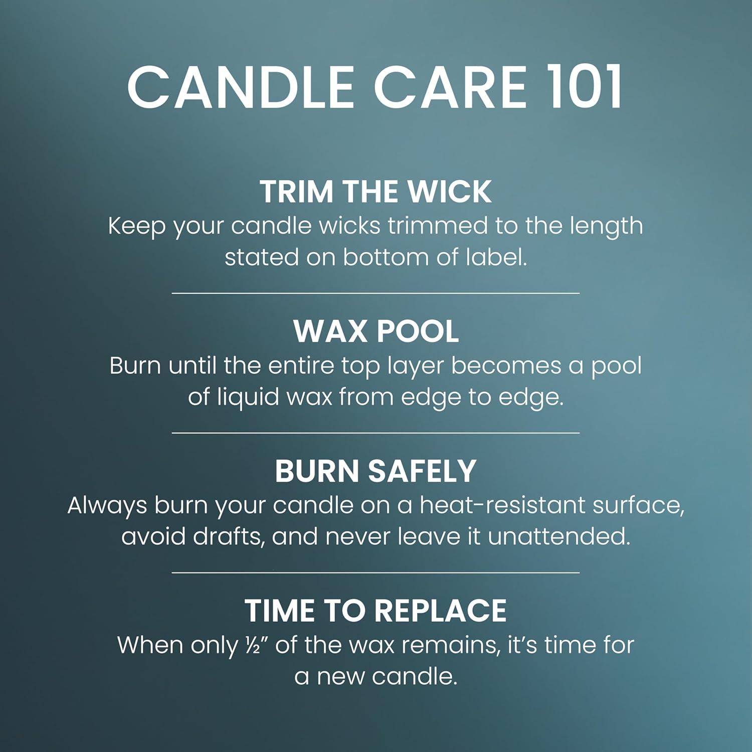 YANKEE CANDLE Signature Bayside Cedar Scented Tumbler Candle