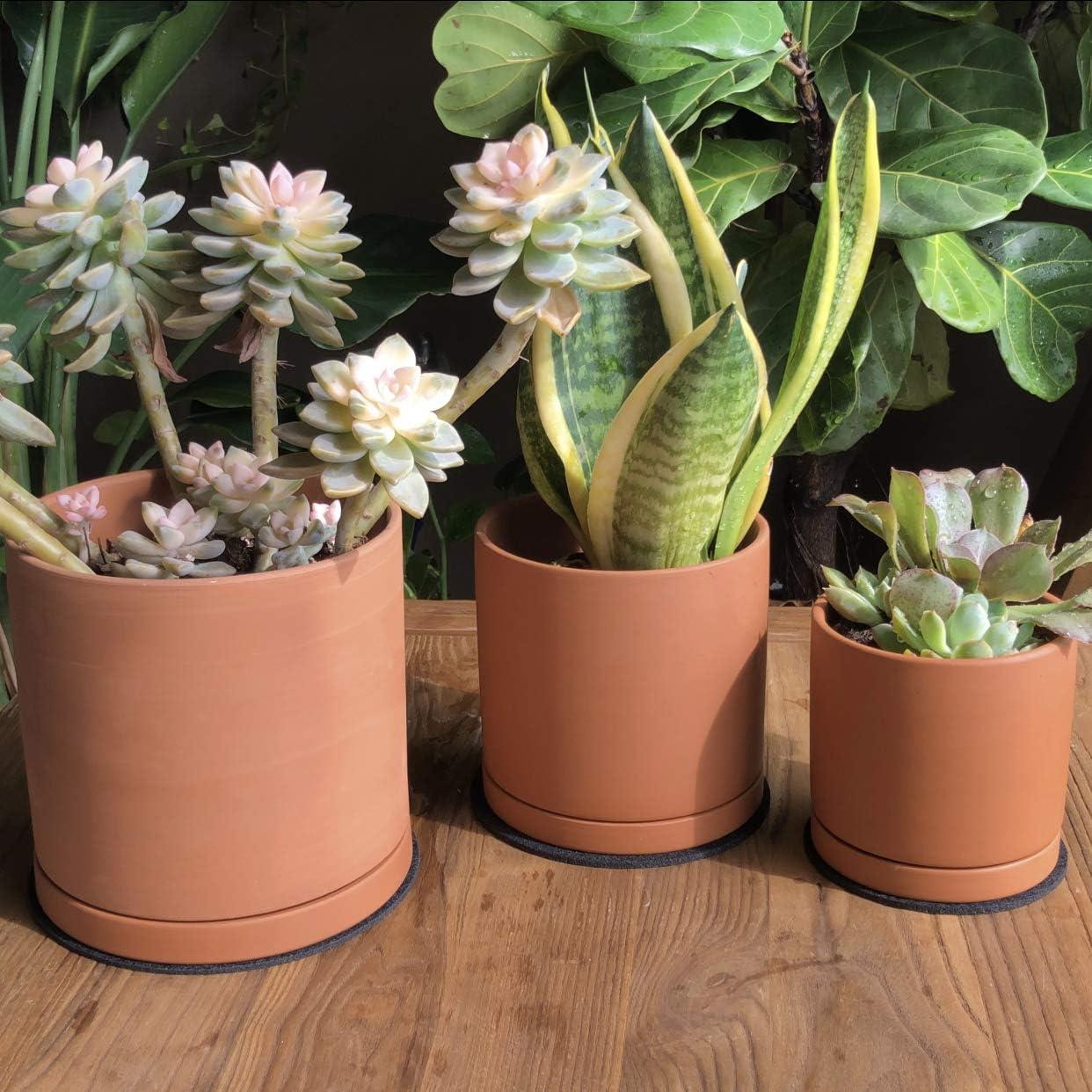 D'vine Dev Terracotta Pots for Plants, 4.2 Inch 5.3 Inch 6.5 Inch, Succulent Planter Pot with Drainage and Saucer, 40-T-A-0
