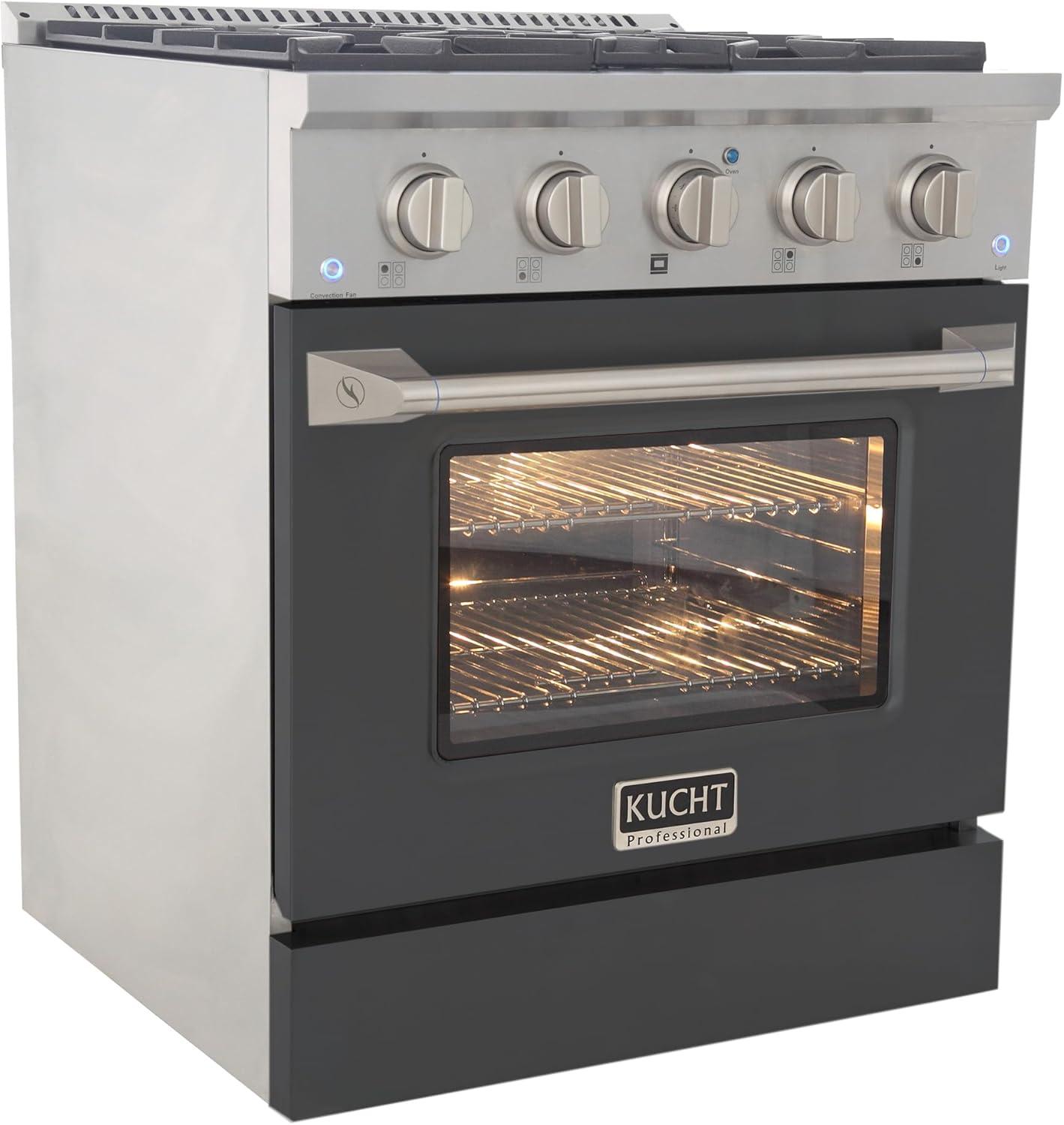 30 in. 4.2 cu. ft. Natural Gas Range with Convection Oven in Cement Gray