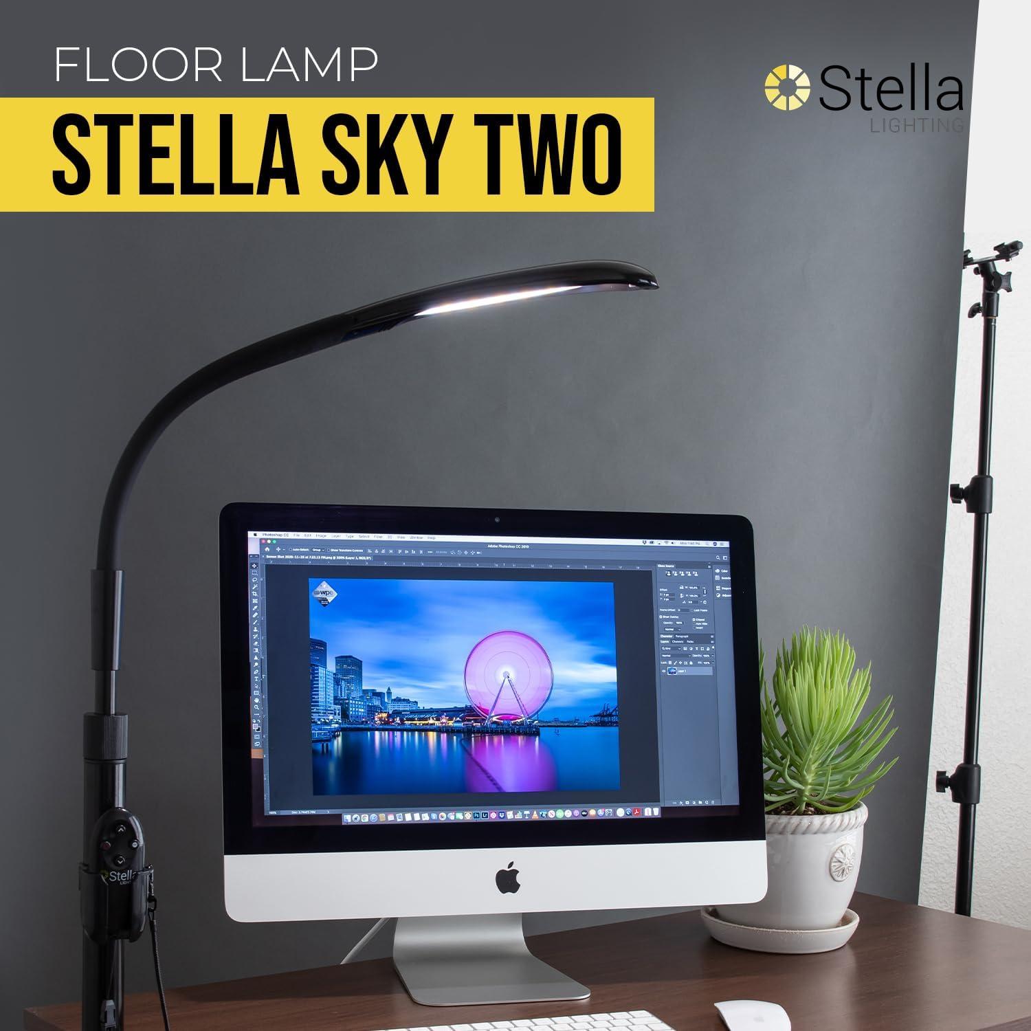 Stellasky Floor Lamp-Black