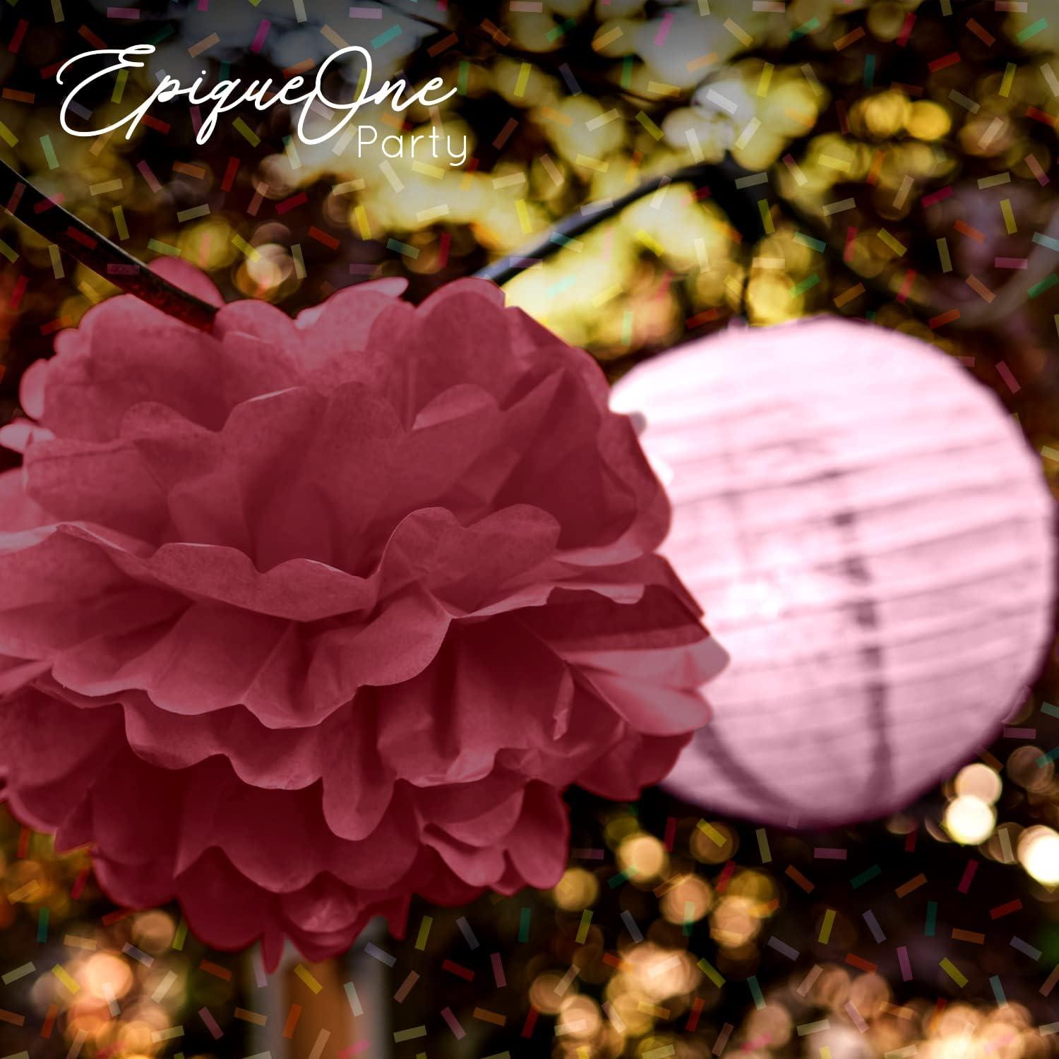 EpiqueOne 22-Piece Tissue Paper Pom Poms and Paper Lantern Party Kit - Add a Splash of White, Pink, & Mauve to Your Celebrations!