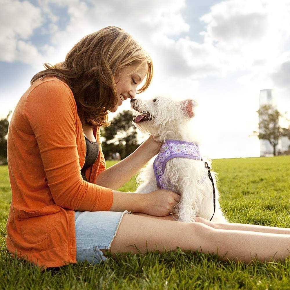 Dkeli Dog Fence Outdoor Dog Playpens for Small Dogs, Portable, Foldable,24 inch