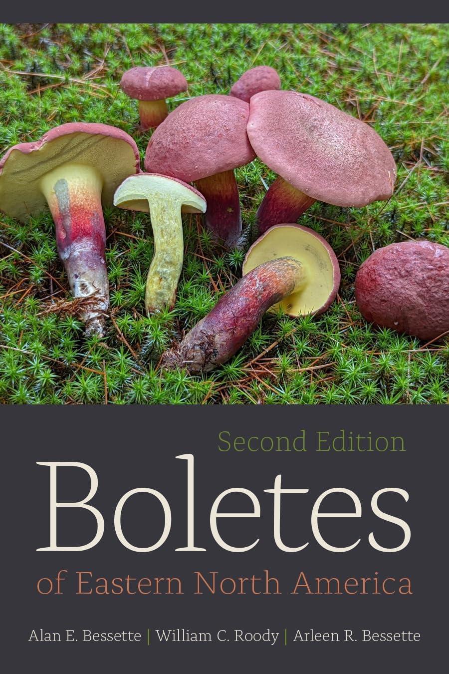 Boletes of Eastern North America - 2nd Edition by  Alan Bessette & William C Roody & Arleen Bessette (Paperback)
